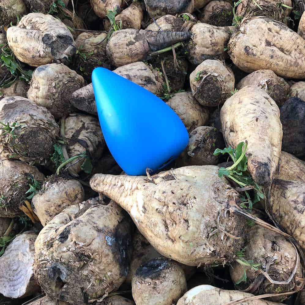 beetlog electronic sugar beet data logger