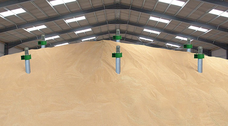 Martin Lishman pedestals in a grain store filled with wheat.