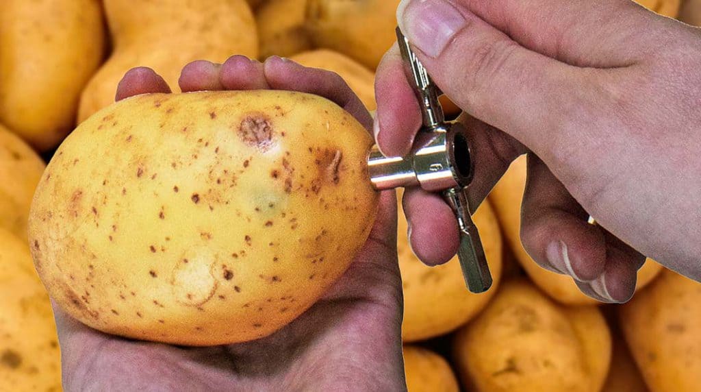 chip cutter set for French fry testing