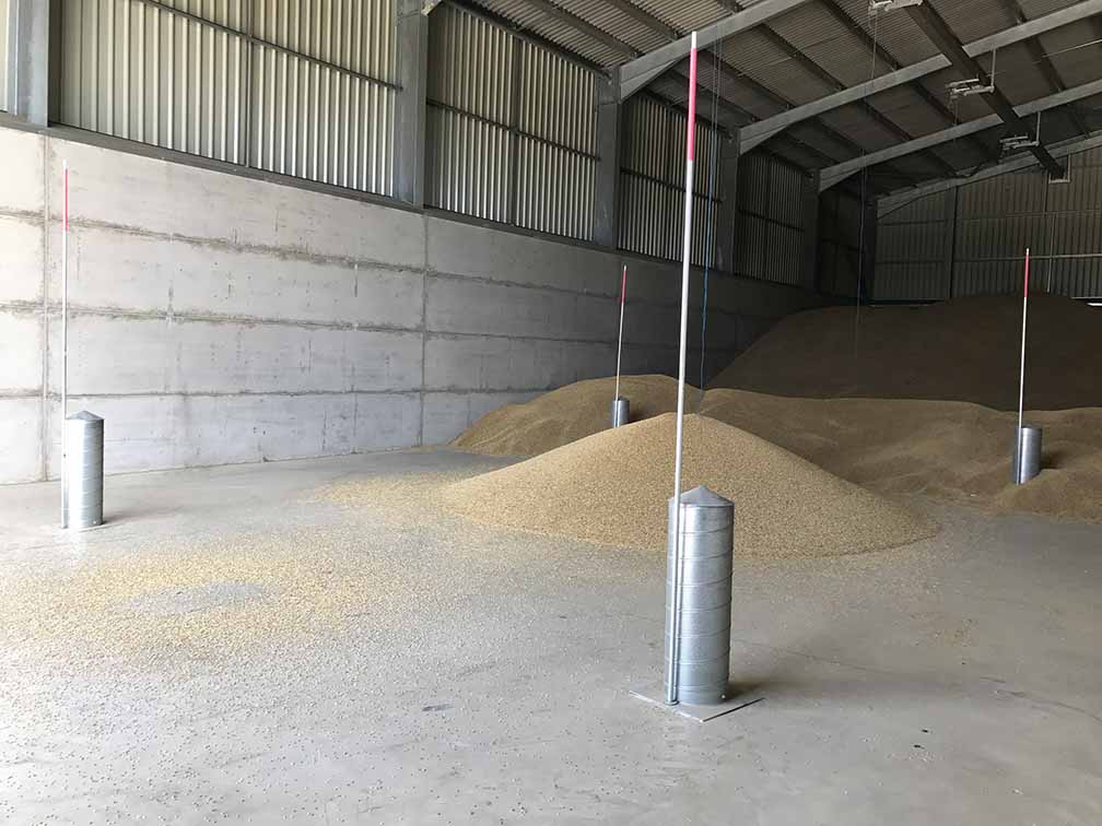 Martin Lishman FloorVent pedestals in a grainstore being loaded by a conveyor system