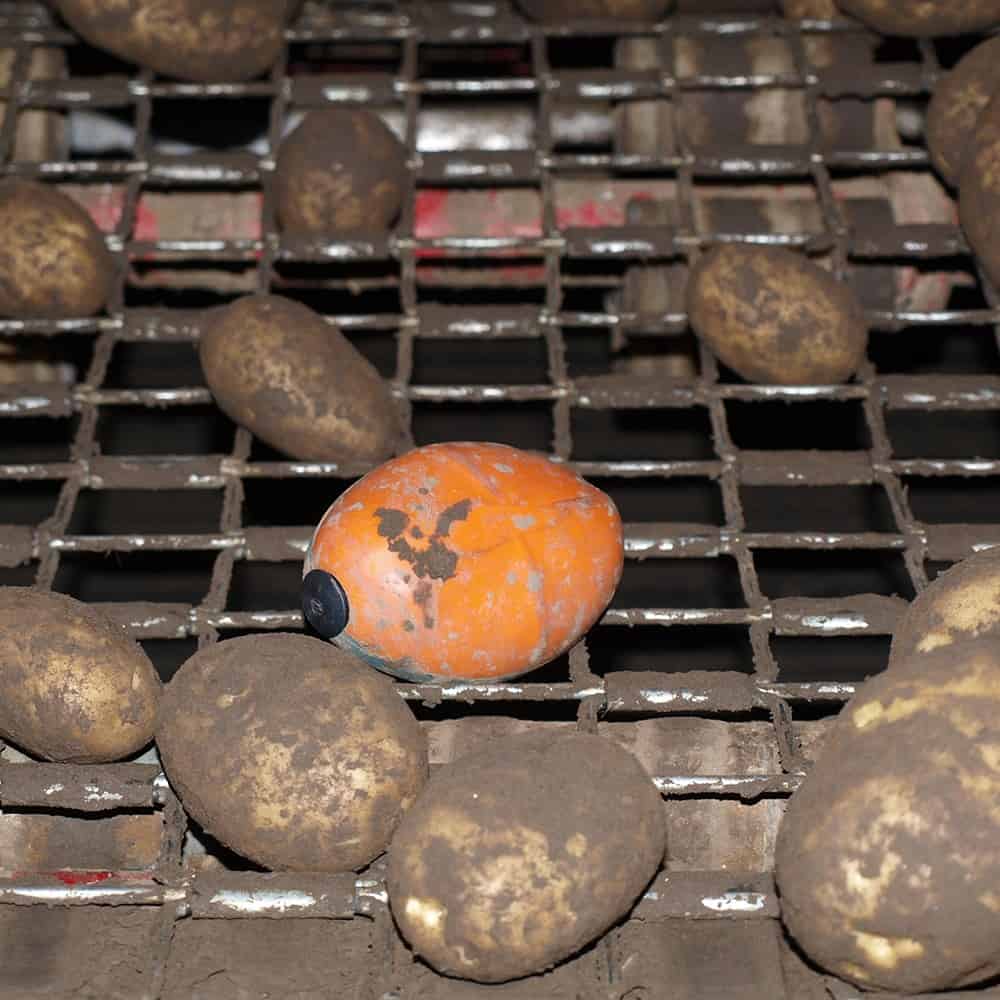 tuberlog electronic potato inside a grading unit