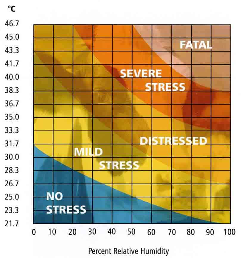 livestock building ventilation system heat stress chart