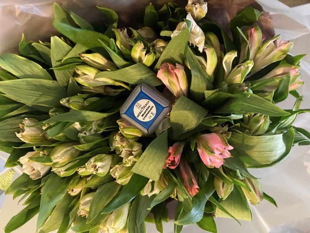 The ImpacTrack Magic Flower data logger sits in a bouquet of flowers ready for shipping.