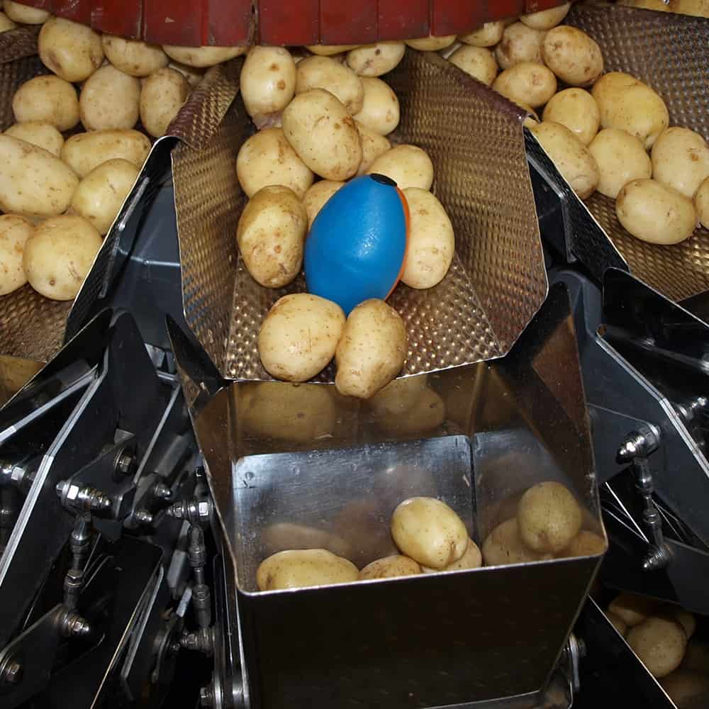 tuberlog electronic potato on the packing line