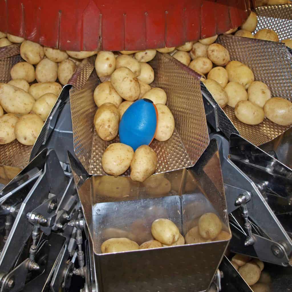 tuberlog electronic potato used by packing machines to help reduce damage