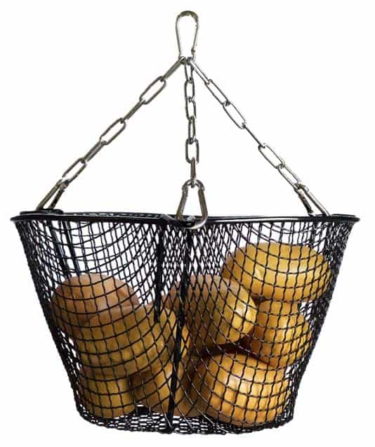 The weltech PW4 hydrometer basket holds potatoes to be dry matter tested