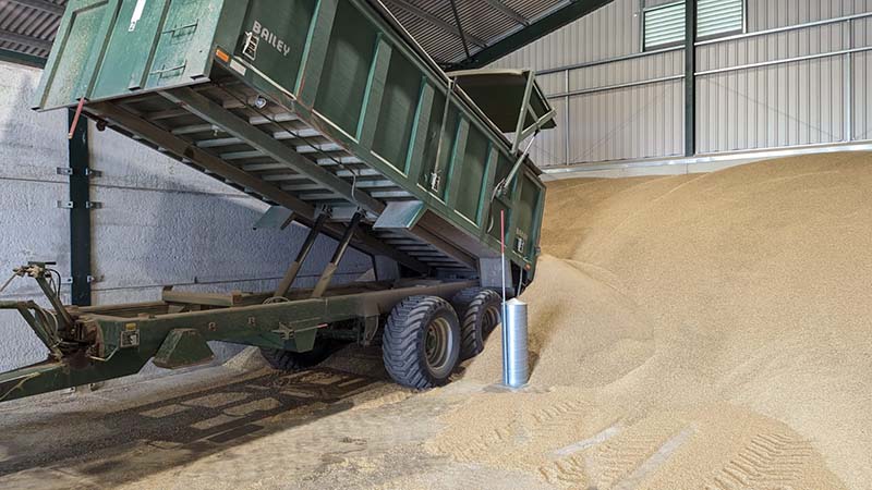 Trailer of grain being unloaded around a FloorVent pedestal.